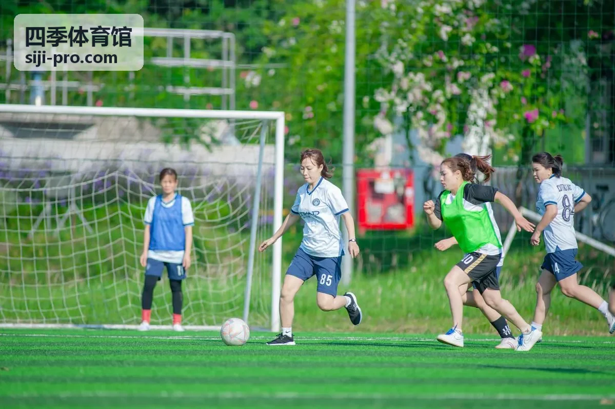 四季体育馆篮球场